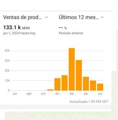 Captura de venta de alumno: $133.1K MXN en 12 meses